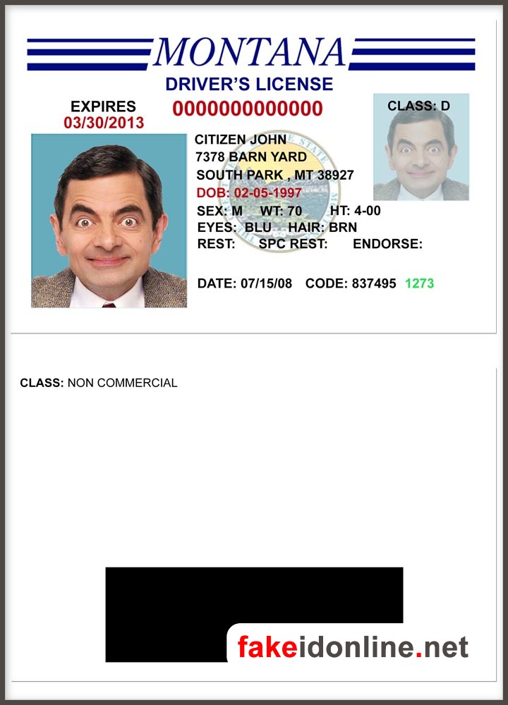 Montana Driver License PSD Template